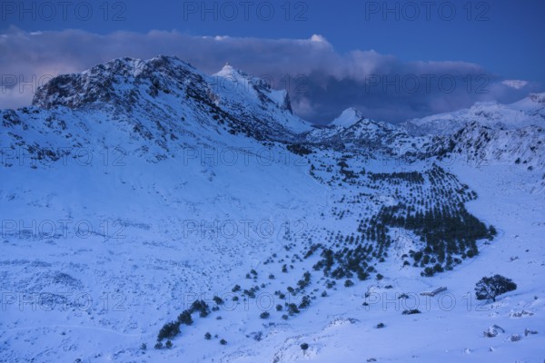 Puig Major (Puig Mayor) punto más elevado de la isla de Mallorca, 1445 metros de altitud, Sierra de Tramuntana, municipio de Escorca, Mallorca, balearic islands, spain