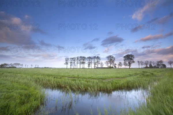 Blue sky reflected in river on meadows, Netherlands