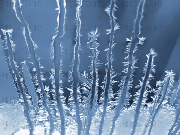 Frosty natural pattern on winter window