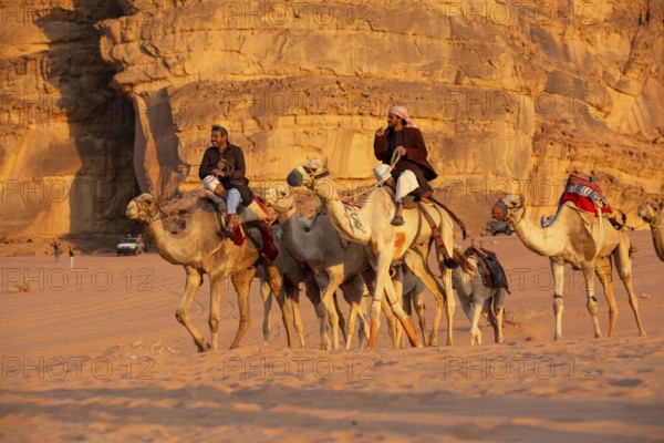 Jordan, Wadi Rum, November 2, 2022: Caravan of camels with drovers in the desert, rock mountains at sunset, Asia