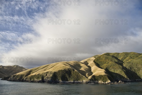 Ferry View Wellington New Zealand to South Island