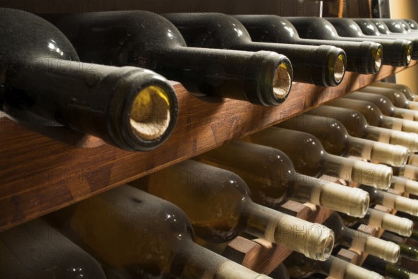 Wine bottles on shelf. Wine cellar. Close up wine bottles