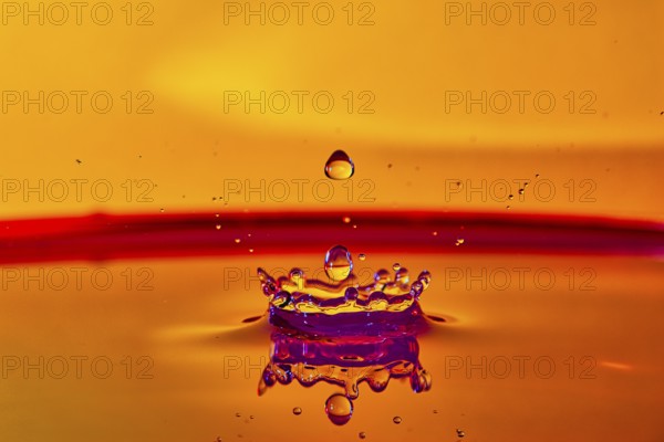 A falling drop of water creates an impressive crown on an orange-coloured surface, high-speed photography, drop photography, Grenzach- Wyhlen, Baden-Württemberg, Germany, Europe