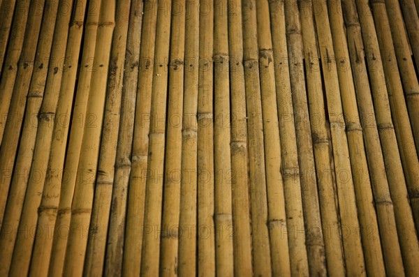 Detail of bamboo surface