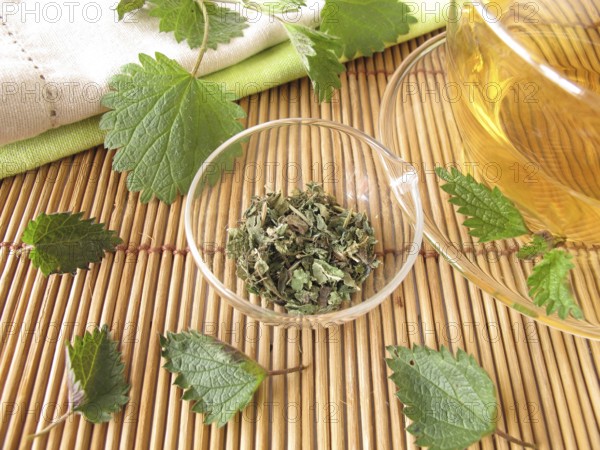 Nettle tea