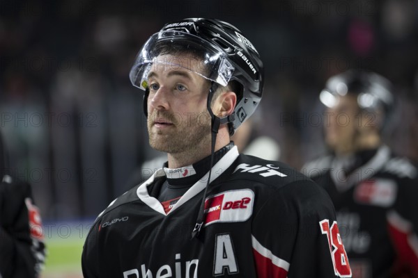 LanxessArena, Cologne, North Rhine-Westphalia, Joshua Currie (Cologne Sharks, #18), PENNY DEL, Cologne Sharks-Penguins Bremerhaven on 15/11/2024 at the LanxessArena in Cologne Germany