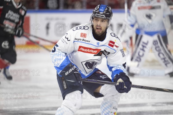 LanxessArena, North Rhine-Westphalia, Fabio Wagner (ERC Ingolstadt, #5), PENNY DEL, Kölner Haie-ERC Ingolstadt on 22/11/2024 at the LanxessArena in Cologne Germany, CONTINENT_