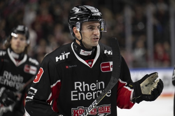 LanxessArena, North Rhine-Westphalia, Maximilian Kammerer (Cologne Sharks, #9), PENNY DEL, Cologne Sharks-ERC Ingolstadt on 22/11/2024 at the LanxessArena in Cologne Germany