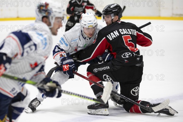 KA2, Cologne, North Rhine-Westphalia, Robin van Calster (Cologne Sharks, #5), PENNY DEL, Test match Cologne Sharks-Iserlohn Roosters on 13/09/2024 at KA2 in Cologne Germany