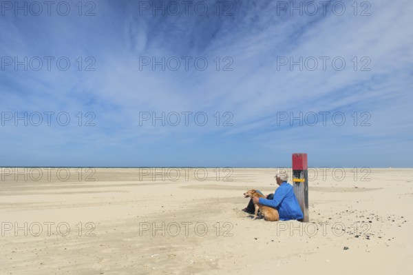 Walking the dog at the beach