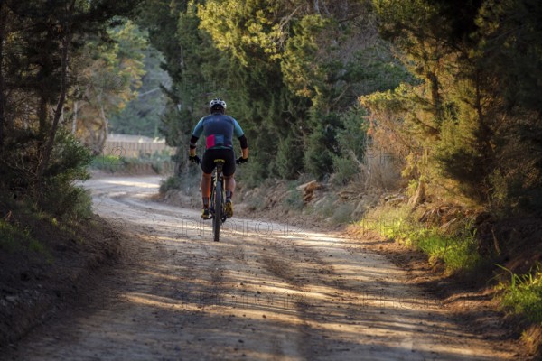 Mountain biker on the greenway Sant Francesc-La Mola, Formentera, Pitiusas Islands, Balearic Community, Spain, Europe