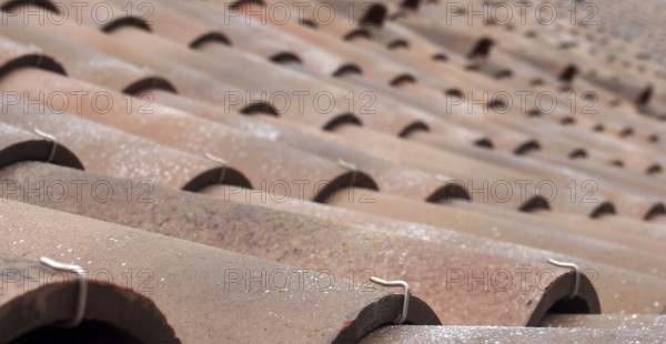 A selective focus perspective view of traditional portuguese curved clay roof tiles