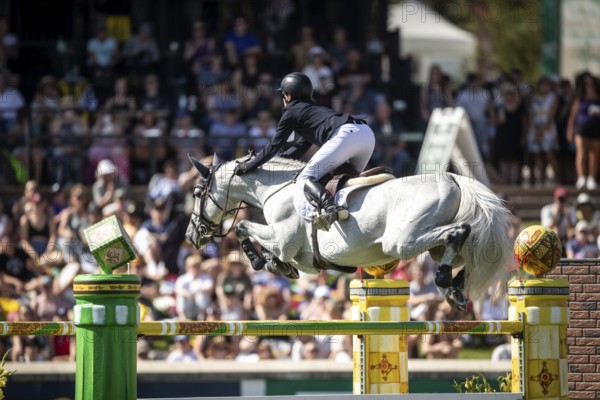 Darragh Kenny of Ireland and riding VDL Cartello compete in the first round of the 1.60m CPKC International during the Spruce Meadows Masters, presented by Rolex, in Calgary, Alberta, Canada, North America