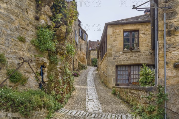 Street with historical houses in Beynac-et-Cazenac, Dordogne department, France, Europe