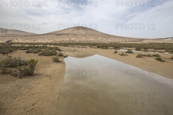 A sandy beach with a shallow lagoon by the sea. Barren landscape, taken in the evening. sandy beach landscape at Playa de Sotavento de Jandía, Fuerteventura, Canary Islands, Spain, Europe