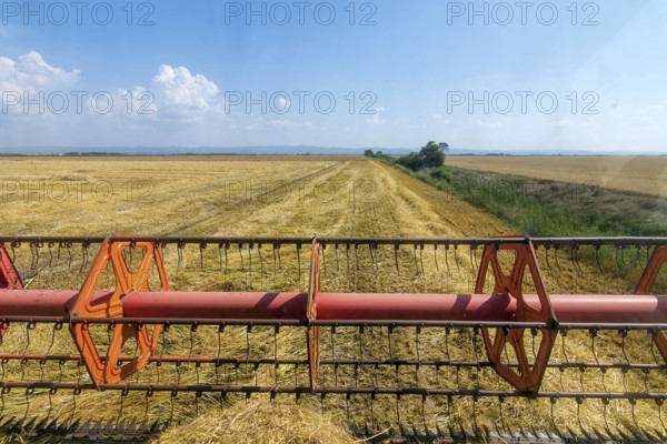 Combine harvesting the field of wheat