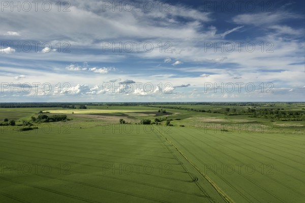 Aerial view of agricultural fields. Countryside, Agricultural Landscape Aerial view