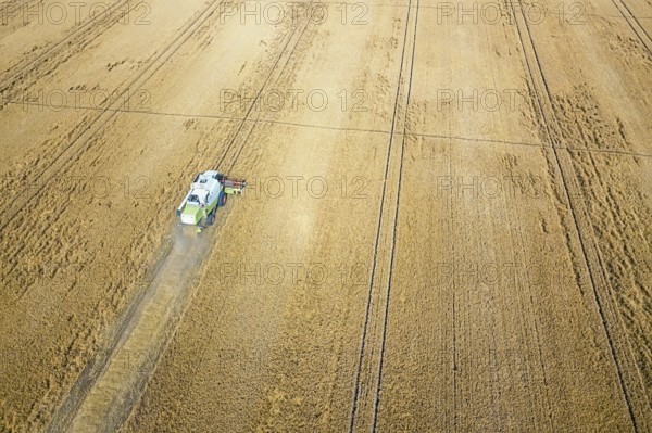 Combine harvester working on a wheat field. Combine harvester Aerial view