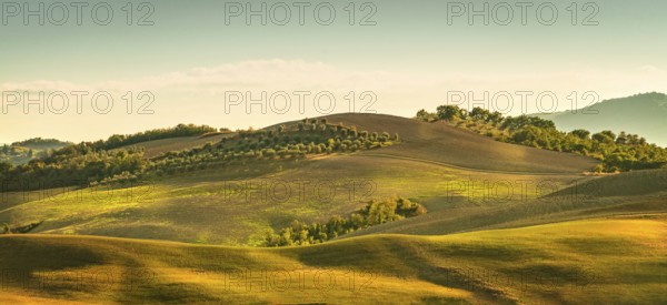 Fields in Tuscany