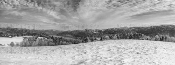Above the Slapy dam in winter. Snow and hoarfrost covered trees in the frosty morning. Amazing winter landscape