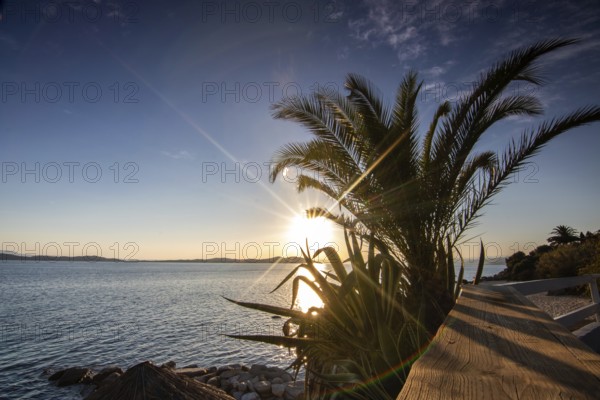View through palm trees on a sandy beach into the sunset. Landscape shot with view to the horizon over the wide sea at the coast of Ouranoupoli, Thessaloniki, Central Macedonia, Greece, Europe