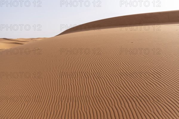 Picturesque dunes in the Erg Chebbi desert, part of the African Sahara, Morocco, Africa