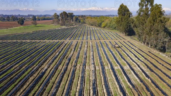 Aerial top view drone photography of chilean landscape