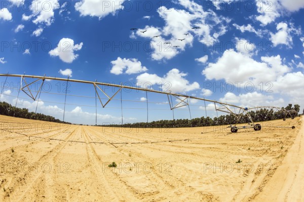 Installation for the automatic watering of fields. Concept of progressive agriculture