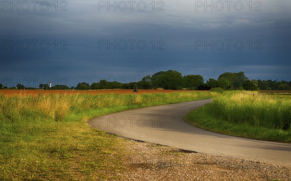 A road through the landscape of Schleswig Holstein, Germany, Europe