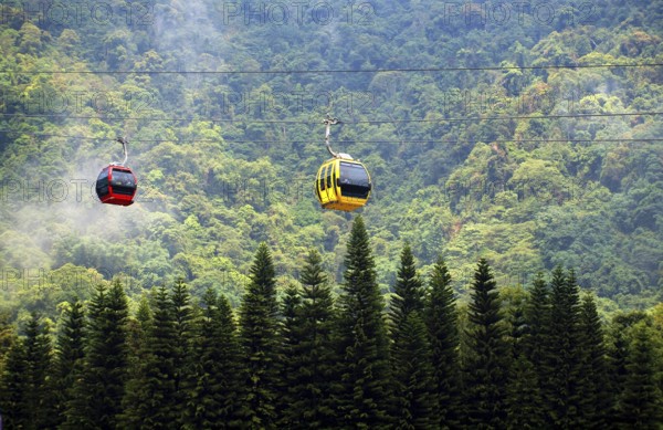 Gondolas of a ropeway travel above a misty forest