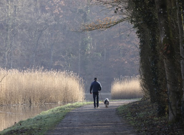 Elderly man walking a small dog on the shore of a lake, morning calm in autumn, Burghausen, Upper Bavaria, Bavaria, Germany, Europe
