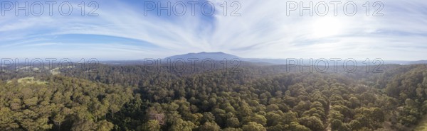 Aerial view near Central Tilba of Mount Dromedary in Gulaga National Park in New South Wales, Australia, Oceania