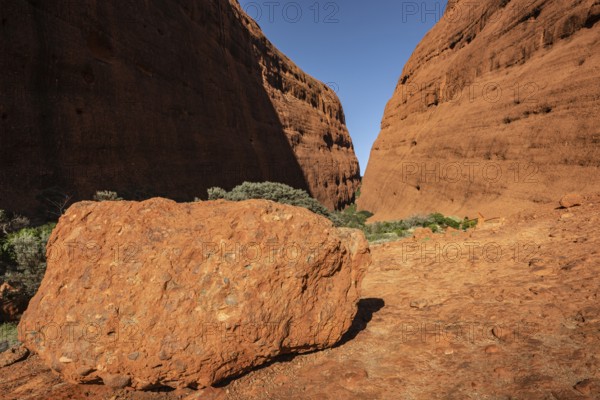 Kata Tjuta, formerly The Olgas, Walpa Gorge Area, Uluru-Kata Tjuta National Park, Northern Territory, Australia, Oceania