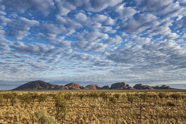 Kata Tjuta, formerly The Olgas, panorama, view from south, Uluru-Kata Tjuta National Park, Northern Territory, Australia, Oceania