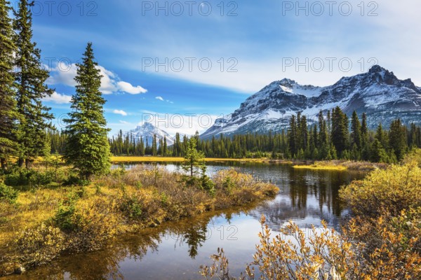 Pine trees reflected in smooth water of the lake. Sunny day. Waterlogged valley in the snowy Rocky Mountains. The concept of ecotourism and active tourism