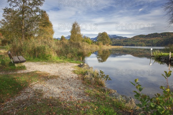 Wide-angle landscape view of Lake Weissensee with wooden bench on the left bank and the first foothills of the high Alps in the background, near the town of Füssen