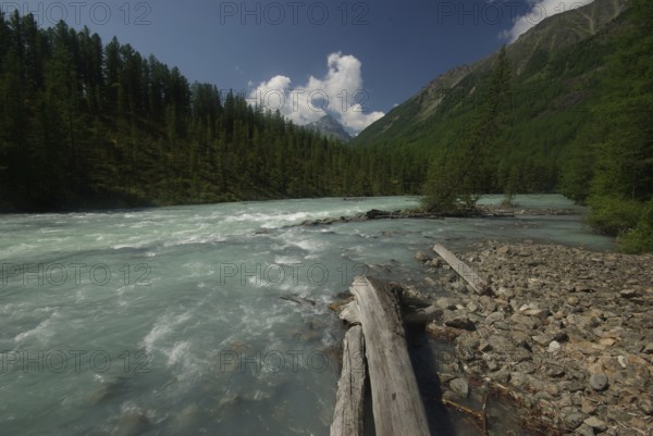 The mountain river in the mountains. Current through the gorge the river. Stones and rocky land near the river. Beautiful mountain landscape