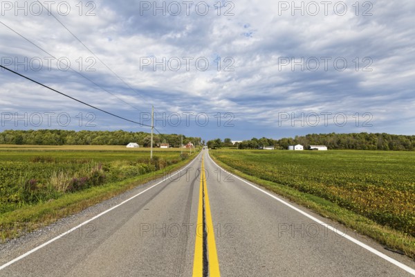 Agriculture, country road trougha farmland, Province of Quebec, Canada, North America