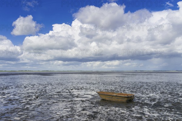 Mudflat