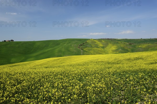 Springs brings an explosion of volours in the Tuscan valleys