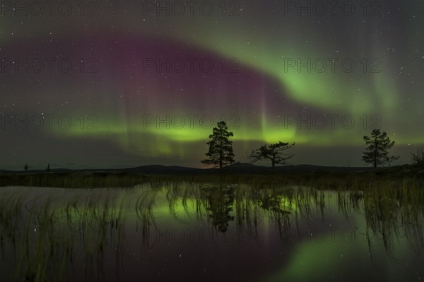 Northern Lights (Aurora borealis) reflected in a mountain lake, Gällivare, Norrbotten, Lapland, Sweden, October 2013, Europe