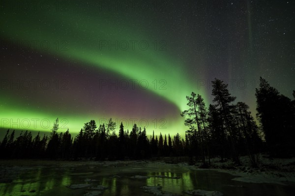 Northern Lights (Aurora borealis), Muddus National Park, Laponia World Heritage Site, Norrbotten, Lapland, Sweden, October 2014, Europe