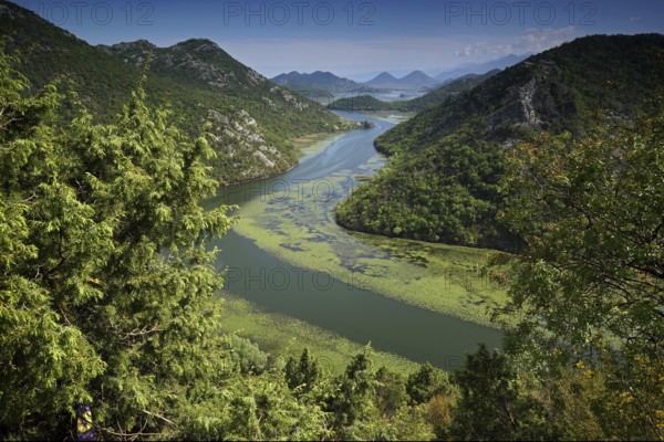 Montenegro, Skadar Lake, Skutari Lake, Lake Skadar, Montenegro, Europe