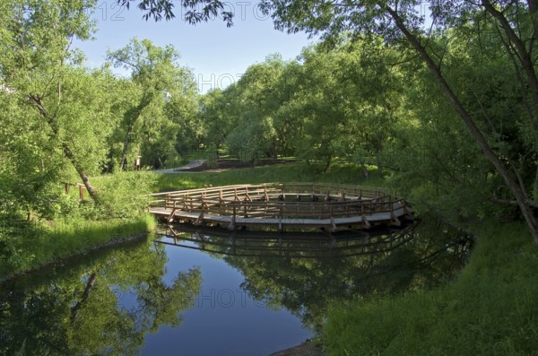 A small pond in a sunny summer morning (Moscow, Russia)