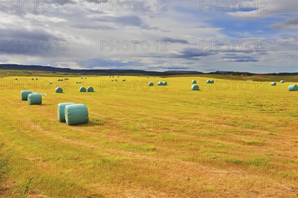 Mown grass folded into a neat stack and packed in special bags of plastic. Rural field after harvest