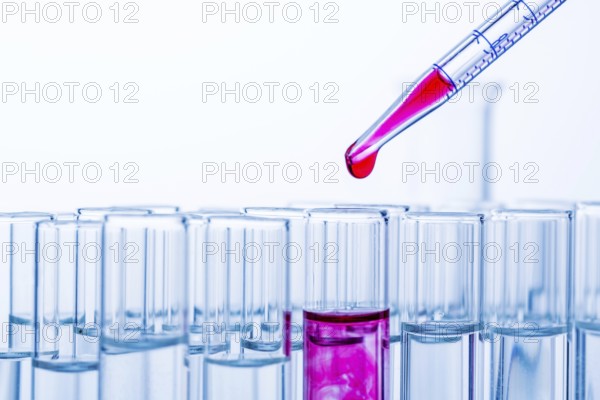 Many test tubes during an experiment in a university research laboratory. Symbolic photo for learning and research. Austria