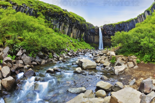 Black basalt columns frame the water jet. Picturesque waterfall Svartifoss in Skaftafell National Park of Iceland