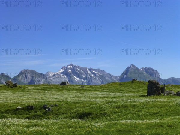 During a hike on Toggenburger Hoehenweg, you'll pass this beautiful meadow with view to Saentis, a famous Swiss mountain