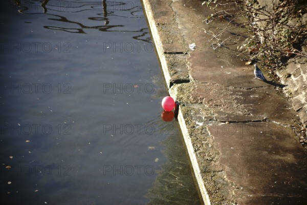 A pigeon stands and a red balloon floats on the bank of a river
