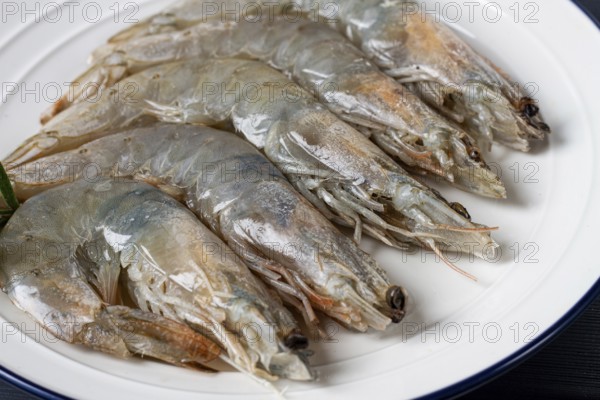 Fresh raw white-footed shrimp, tiger prawns vannamei, on a white plate